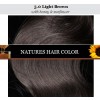 Apivita nature's hair color 5.0